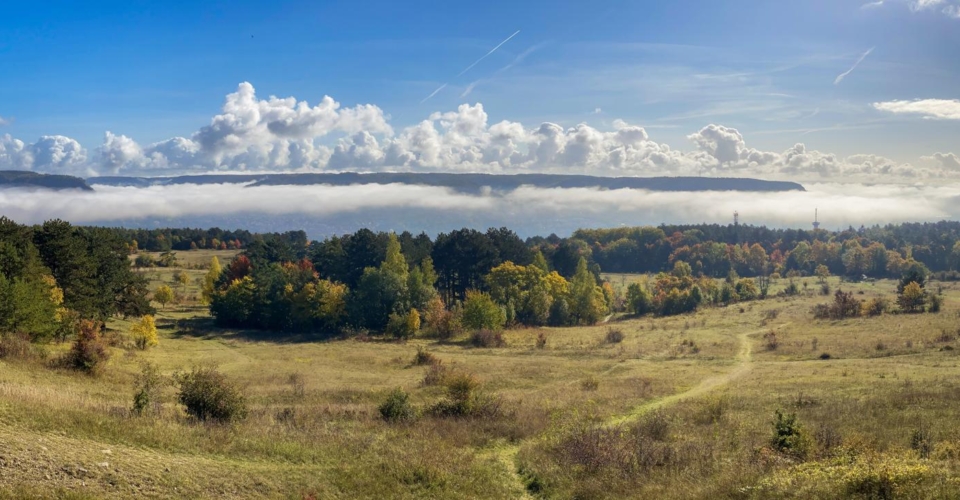 Panorama Windknollen_JenaKultur_K.Schulz