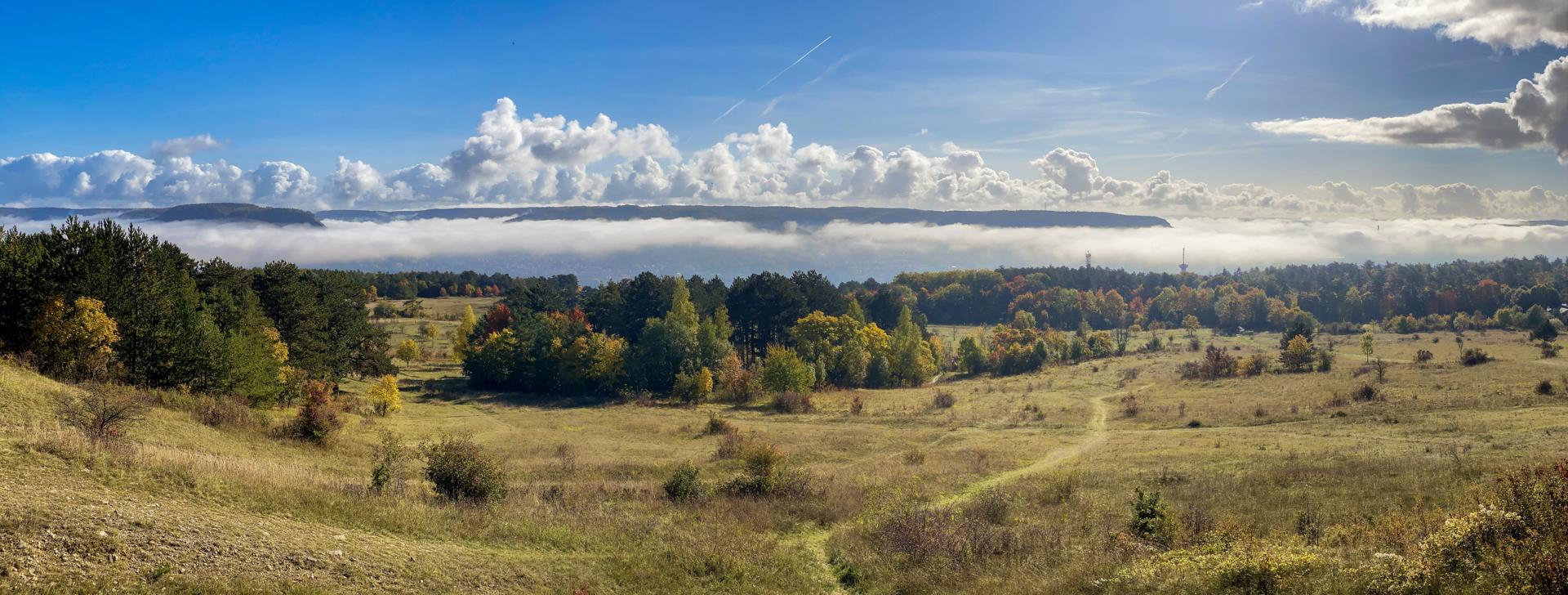 Panoramablick auf die herbstliche Landschaft am Windknollen bei Jena mit Wiesen, Bäumen und Nebel unter einem bewölkten Himmel