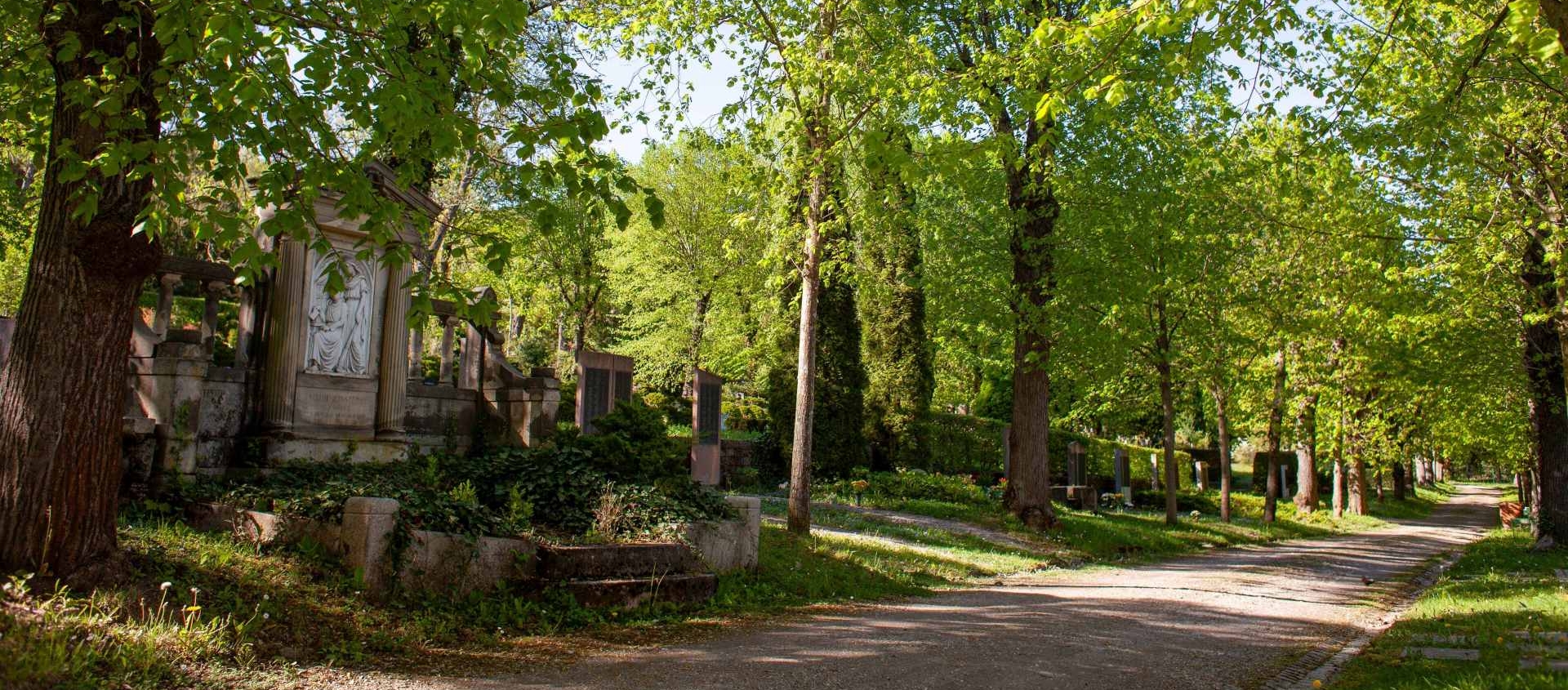 Weg im Nordfriedhof Jena mit Gräbern und hohen Bäumen, die frisches grünes Laub tragen, bei sonnigem Wetter