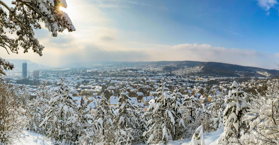 Winterliche Panoramaaufnahme von Jena mit schneebedeckten Bäumen im Vordergrund und der Stadt im Hintergrund unter blauem Himmel