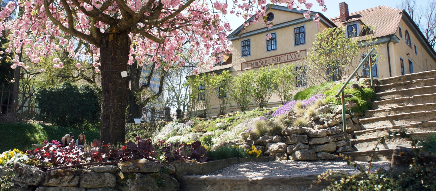 Blick zur Goethe Gedenkstätte