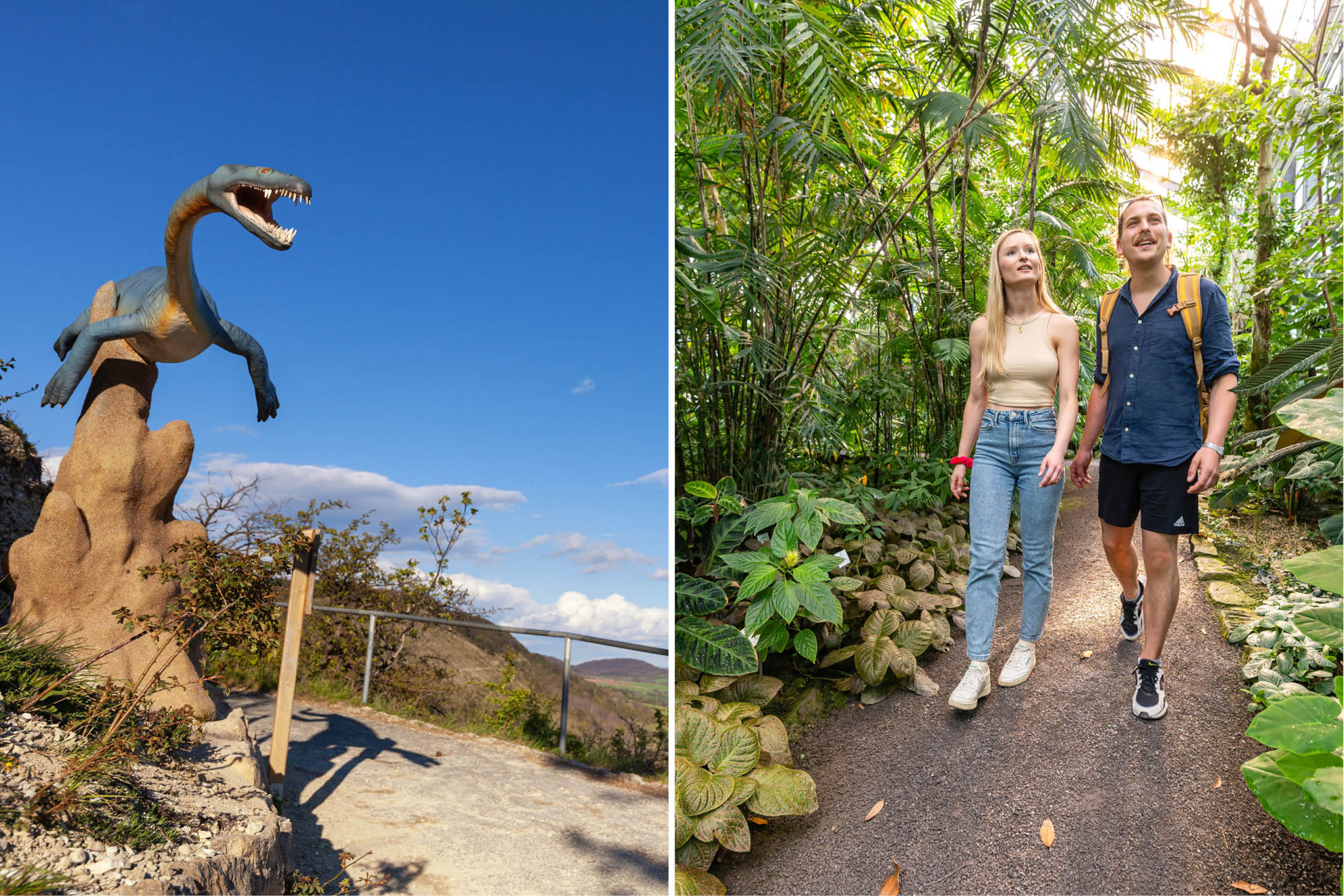 Links eine Dinosaurier-Skulptur auf einem Felsen am Saurierpfad in Jena, rechts ein Paar, das im Botanischen Garten auf einem Weg zwischen üppigem Grün spaziert